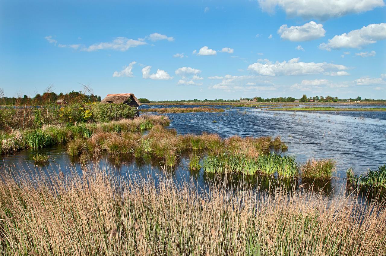Countryside Eco Natuurhuisjes Ee Extérieur photo