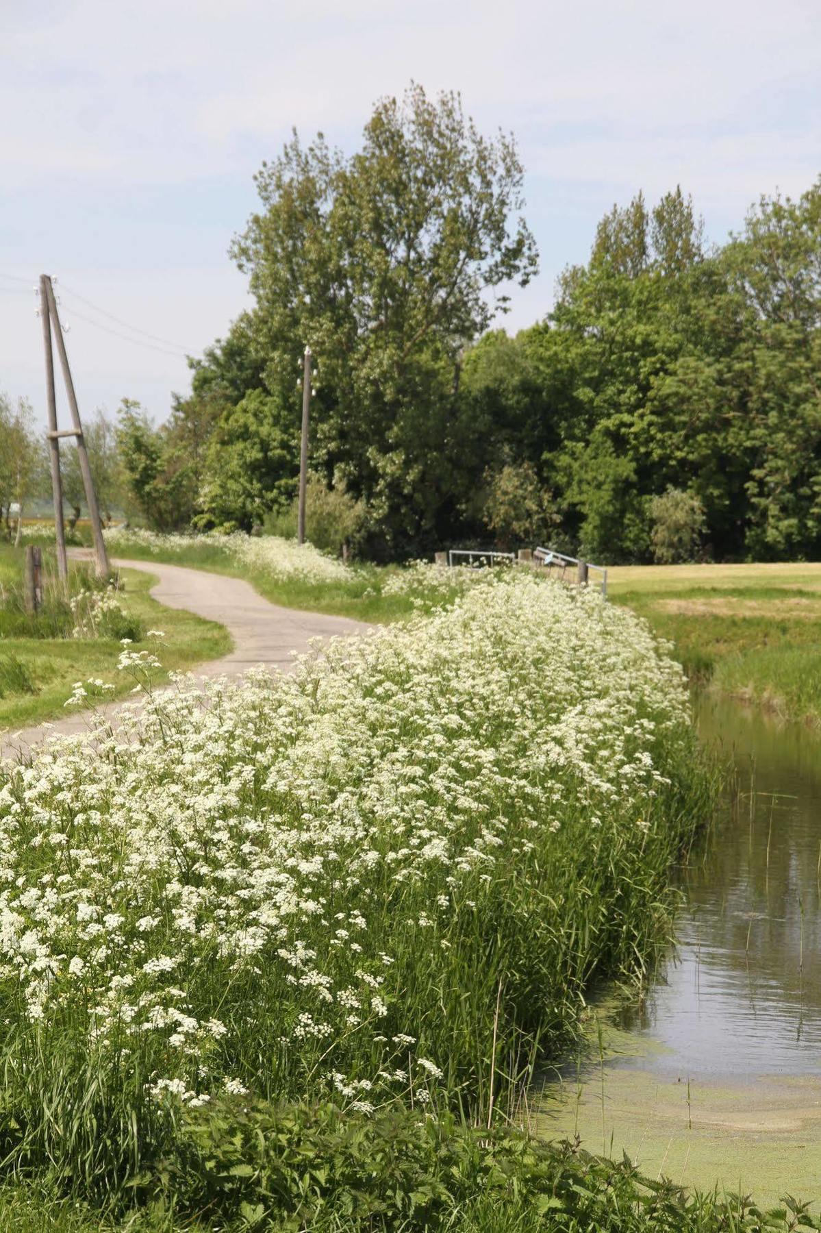 Countryside Eco Natuurhuisjes Ee Extérieur photo